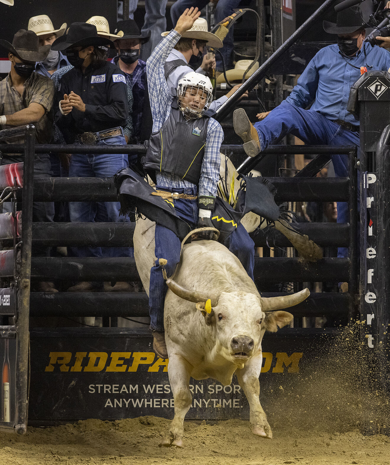 Bull riding